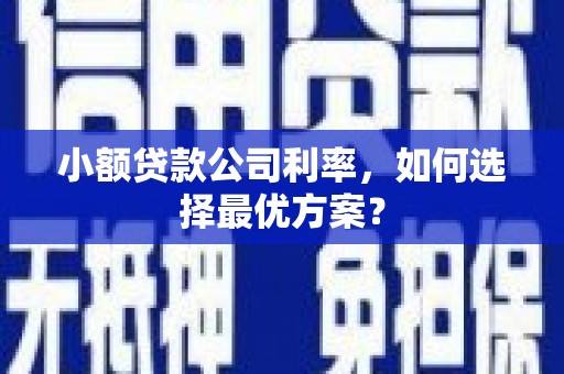 埔心小额贷款公司利率，如何选择最优方案？