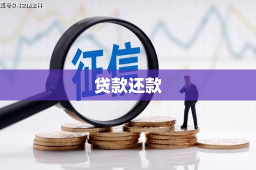 埔心贷款还款