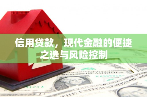 埔心信用贷款，现代金融的便捷之选与风险控制