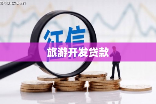 埔心旅游开发贷款