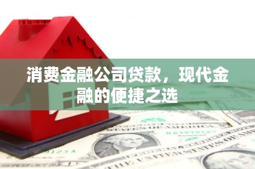 埔心消费金融公司贷款，现代金融的便捷之选