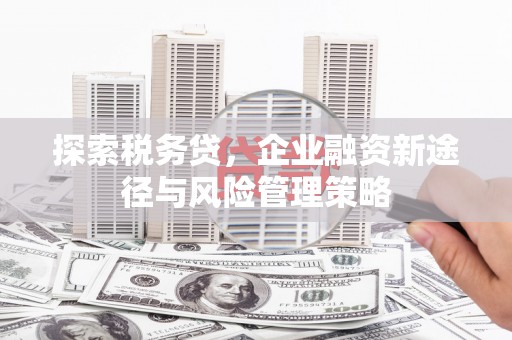 埔心探索税务贷，企业融资新途径与风险管理策略