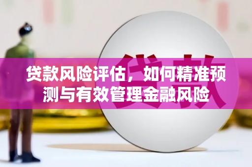 埔心贷款风险评估，如何精准预测与有效管理金融风险