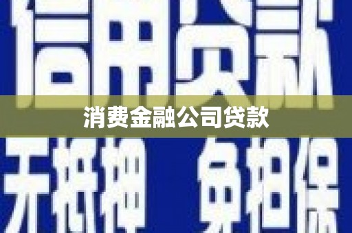 埔心消费金融公司贷款