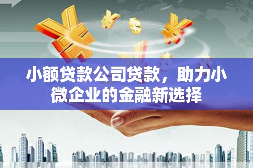 埔心小额贷款公司贷款，助力小微企业的金融新选择