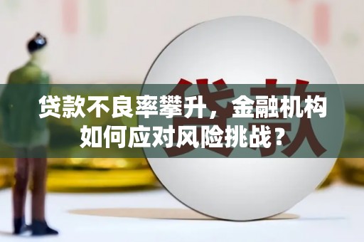 埔心贷款不良率攀升，金融机构如何应对风险挑战？