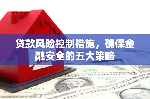 埔心贷款风险控制措施，确保金融安全的五大策略