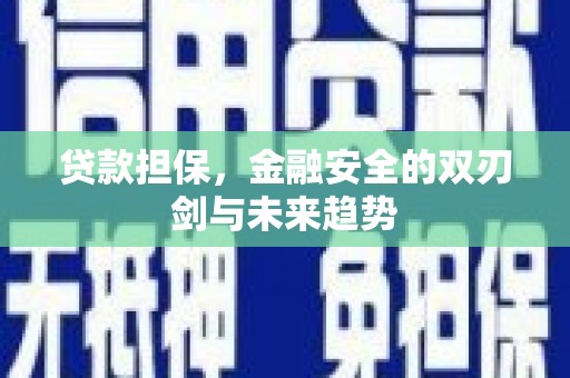 埔心贷款担保，金融安全的双刃剑与未来趋势