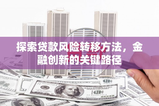 埔心探索贷款风险转移方法，金融创新的关键路径