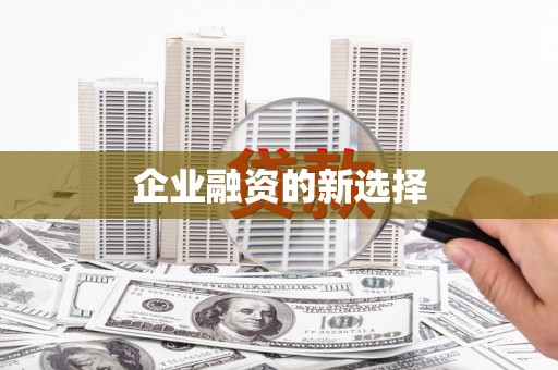 埔心企业融资的新选择