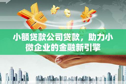 埔心小额贷款公司贷款，助力小微企业的金融新引擎
