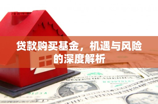 埔心贷款购买基金，机遇与风险的深度解析