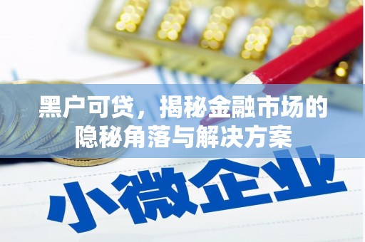 埔心黑户可贷，揭秘金融市场的隐秘角落与解决方案