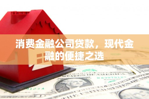 埔心消费金融公司贷款，现代金融的便捷之选
