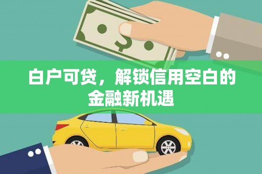 埔心白户可贷，解锁信用空白的金融新机遇