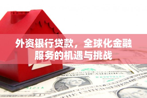 埔心外资银行贷款，全球化金融服务的机遇与挑战