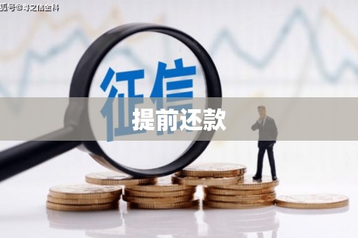 埔心提前还款