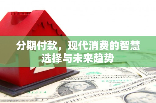 埔心分期付款，现代消费的智慧选择与未来趋势