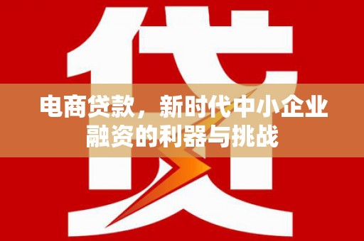埔心电商贷款，新时代中小企业融资的利器与挑战