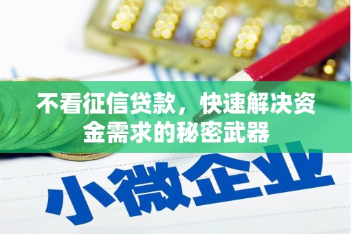 埔心不看征信贷款，快速解决资金需求的秘密武器
