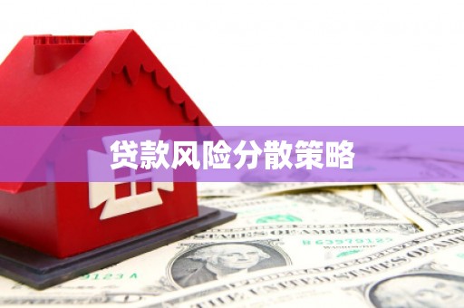 埔心贷款风险分散策略