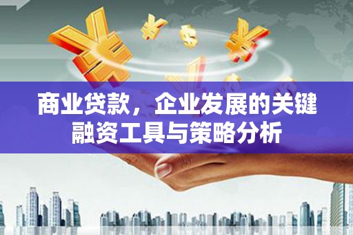 埔心商业贷款，企业发展的关键融资工具与策略分析