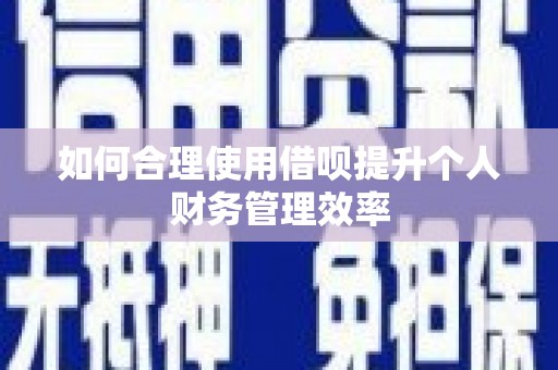 埔心如何合理使用借呗提升个人财务管理效率