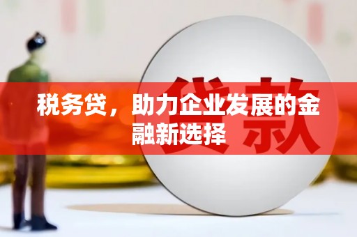 埔心税务贷，助力企业发展的金融新选择