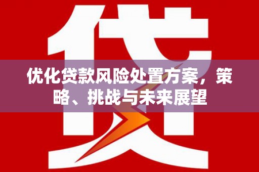 埔心优化贷款风险处置方案，策略、挑战与未来展望