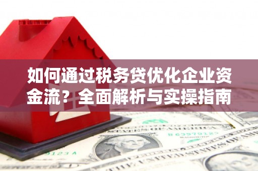 埔心如何通过税务贷优化企业资金流？全面解析与实操指南