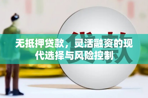 埔心无抵押贷款，灵活融资的现代选择与风险控制