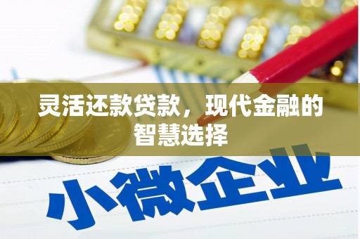 埔心灵活还款贷款，现代金融的智慧选择