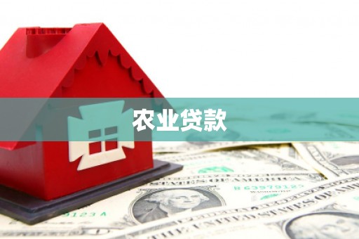 埔心农业贷款