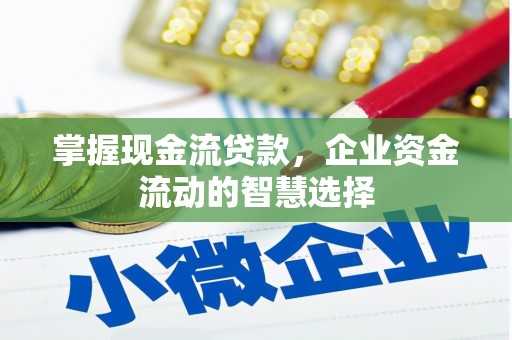 埔心掌握现金流贷款，企业资金流动的智慧选择
