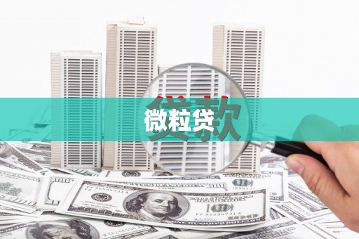 埔心微粒贷