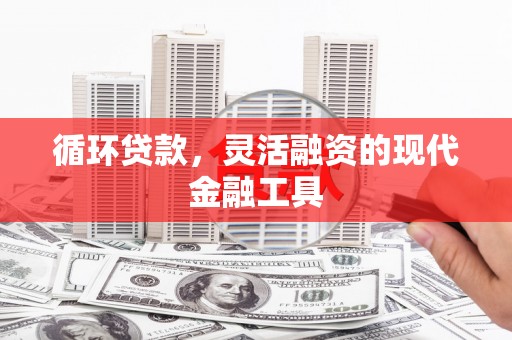 埔心循环贷款，灵活融资的现代金融工具