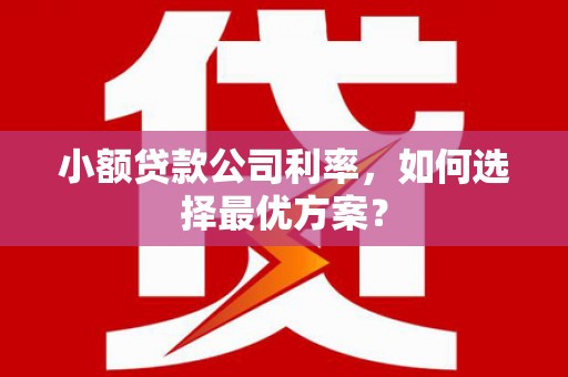 埔心小额贷款公司利率，如何选择最优方案？