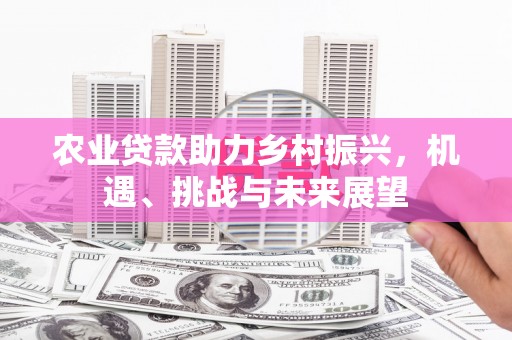 埔心农业贷款助力乡村振兴，机遇、挑战与未来展望