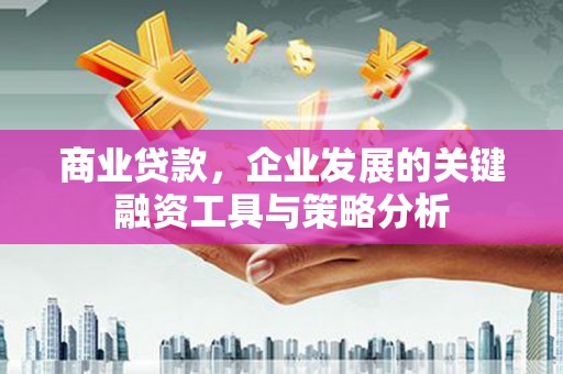 埔心商业贷款，企业发展的关键融资工具与策略分析
