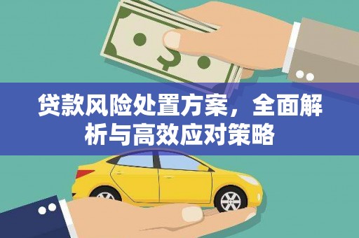 埔心贷款风险处置方案，全面解析与高效应对策略