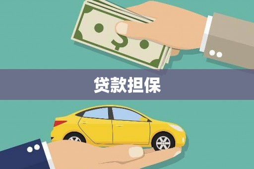 埔心贷款担保