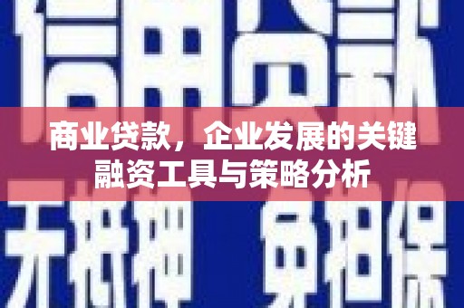 埔心商业贷款，企业发展的关键融资工具与策略分析