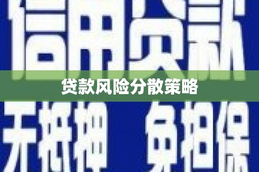 埔心贷款风险分散策略