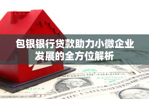 埔心包银银行贷款助力小微企业发展的全方位解析