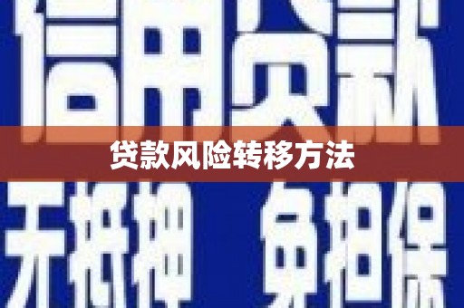 埔心贷款风险转移方法