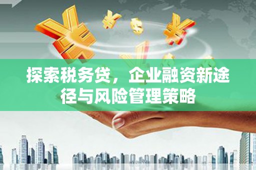 埔心探索税务贷，企业融资新途径与风险管理策略