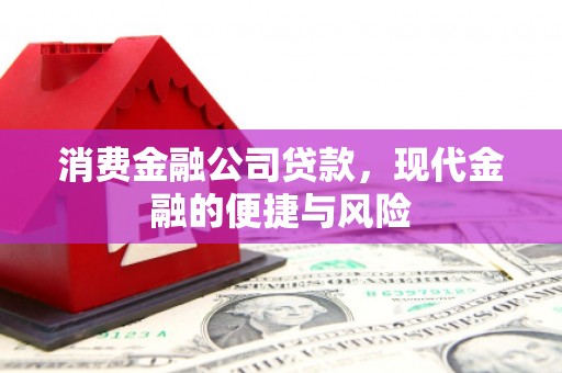 埔心消费金融公司贷款，现代金融的便捷与风险