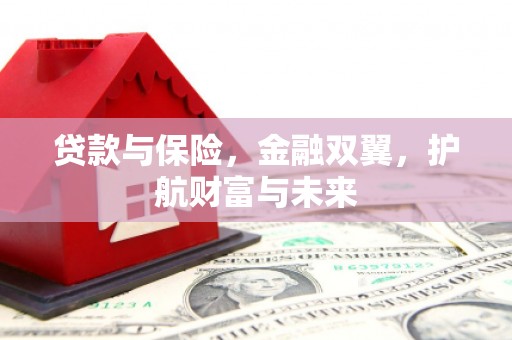 埔心贷款与保险，金融双翼，护航财富与未来