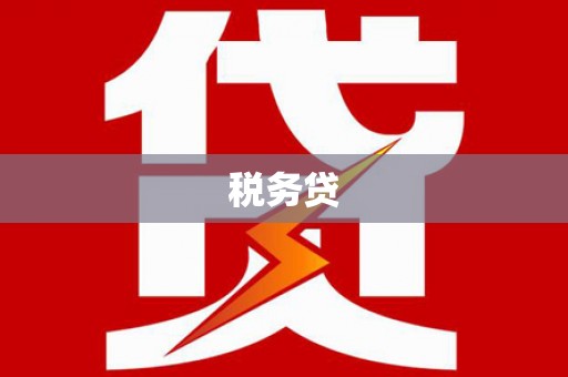 埔心税务贷