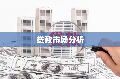 埔心贷款市场分析